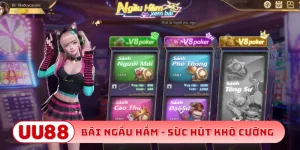 Bài ngầu hầm